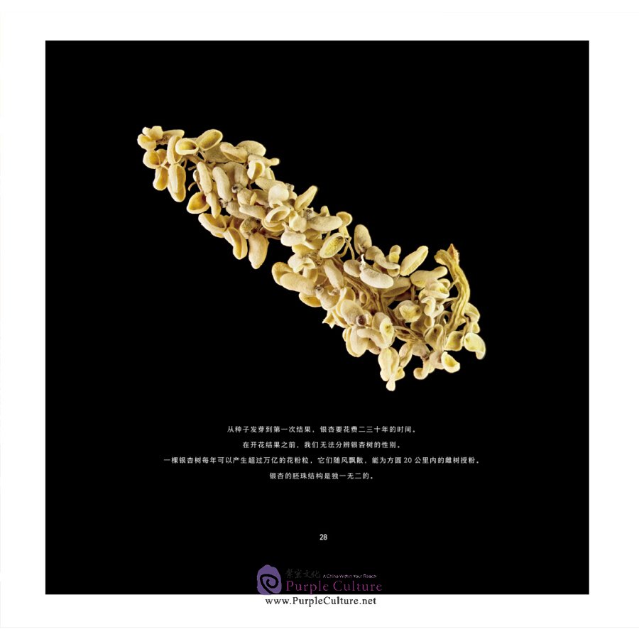 Sample pages of Chinese Plants Affecting the World