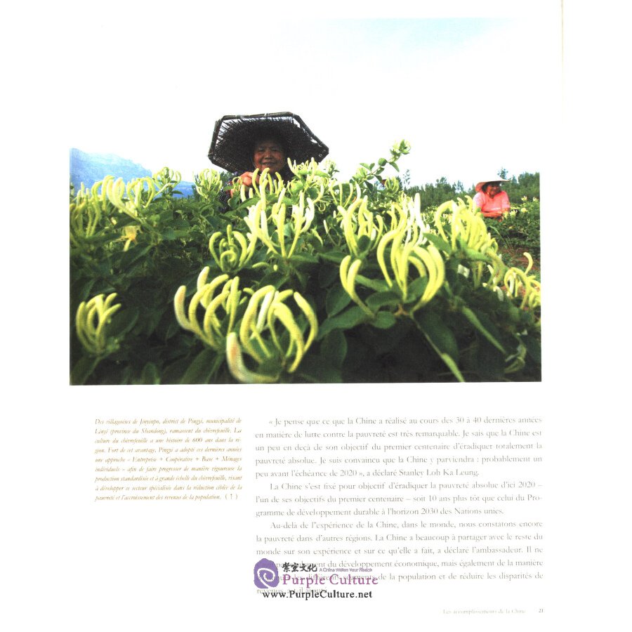 Sample pages of Reduction De La Pauverete En Chine (ISBN:9787119122540)