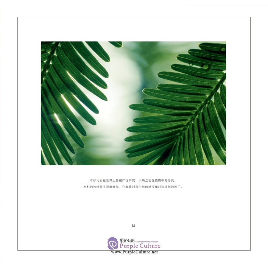 Sample pages of Chinese Plants Affecting the World