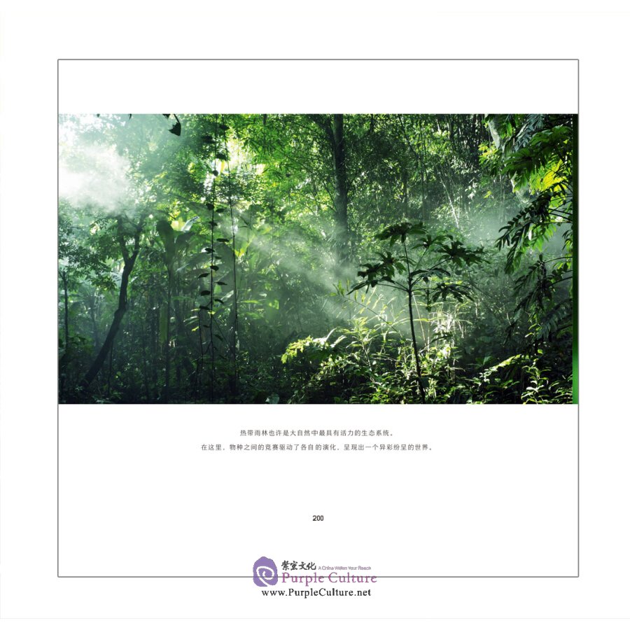 Sample pages of Chinese Plants Affecting the World