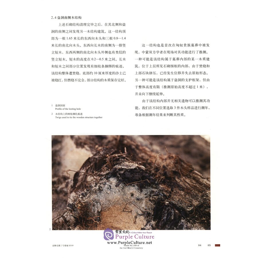 Sample pages of Dragons in the Northern Grassland: A Story of the China-Mongolia Joint Archaeology in Gol Mod 2, Arkhangai, Mongolia (ISBN:9787534893438)