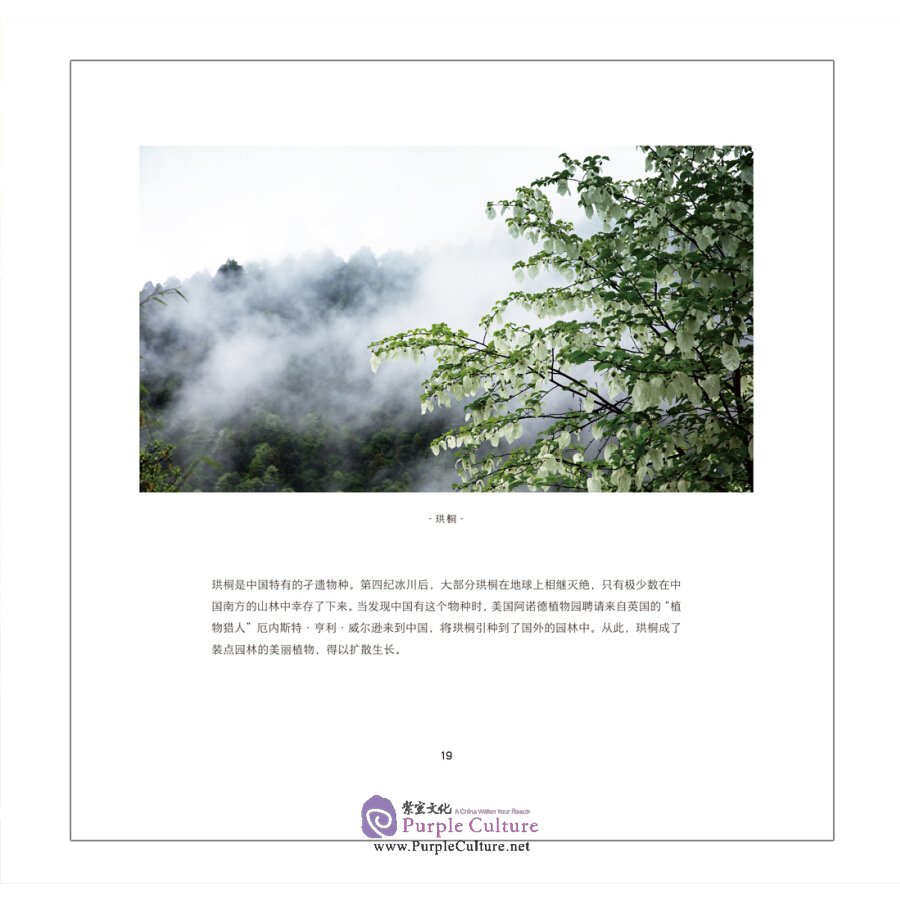 Sample pages of Chinese Plants Affecting the World