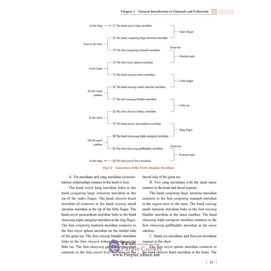 Sample pages of Acupuncture and Moxibustion (3rd Edition) (ISBN:9787117310871)