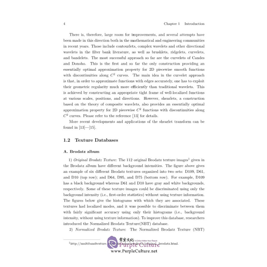 Sample pages of Multiscale Transforms and Their Applications in Image Texture Classification (ISBN:9787030690579)