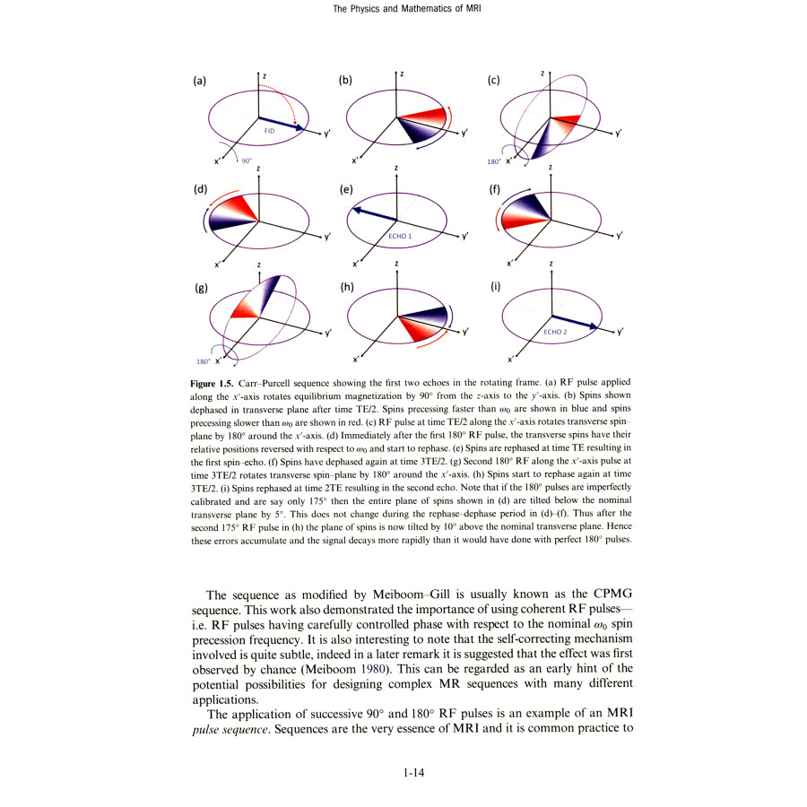 Sample pages of The Physics and Mathematics of MRI (ISBN:9787560395197)