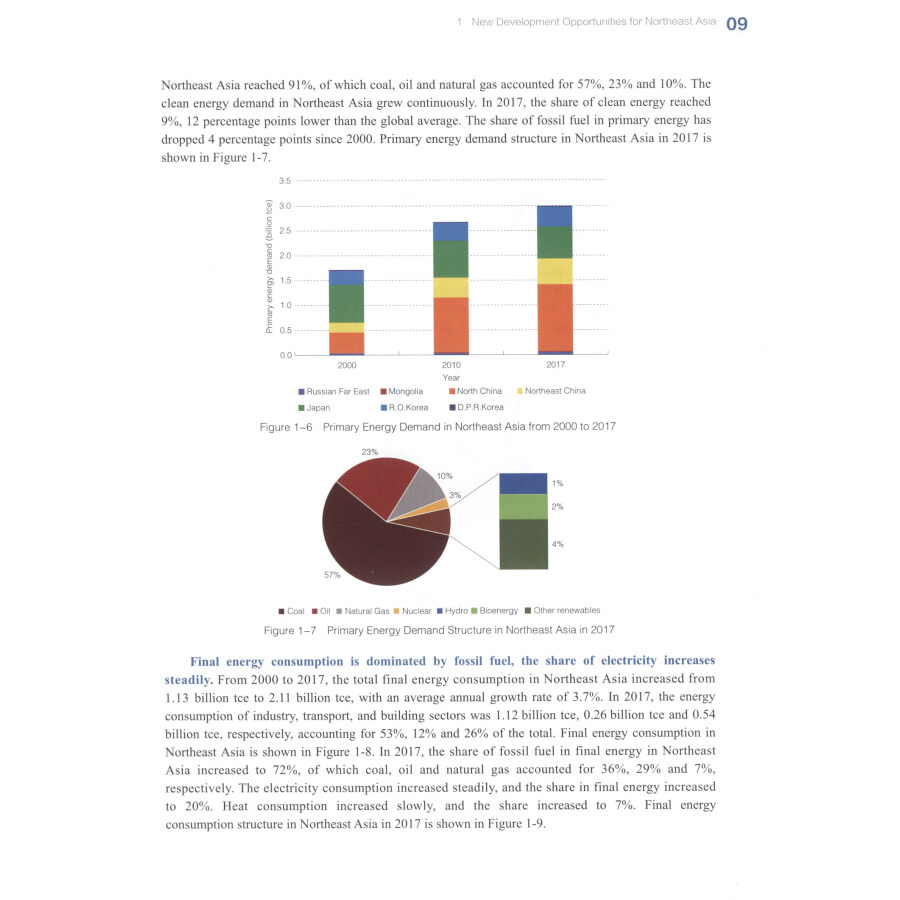 Sample pages of Research and Outlook on Northeast Asian Energy Interconnection (ISBN:9787519847272)
