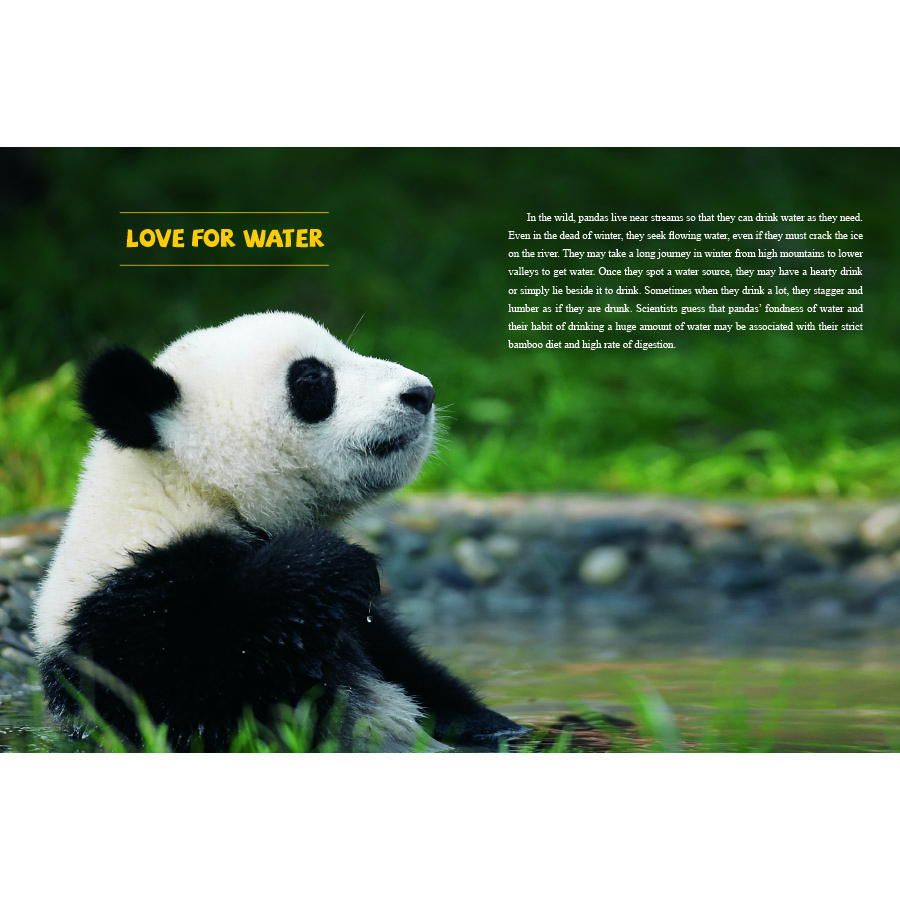 Sample pages of Unveiling Giant Pandas (ISBN:9787508548067)