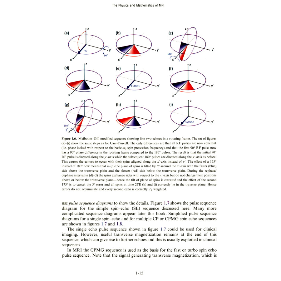 Sample pages of The Physics and Mathematics of MRI (ISBN:9787560395197)