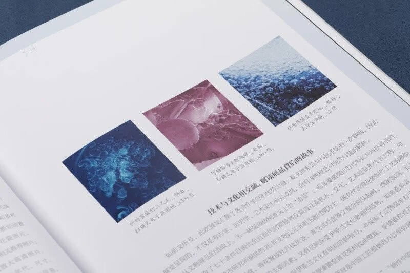 Sample pages of Blue and White: Birth, Growth and Spread (ISBN:9787547929766)