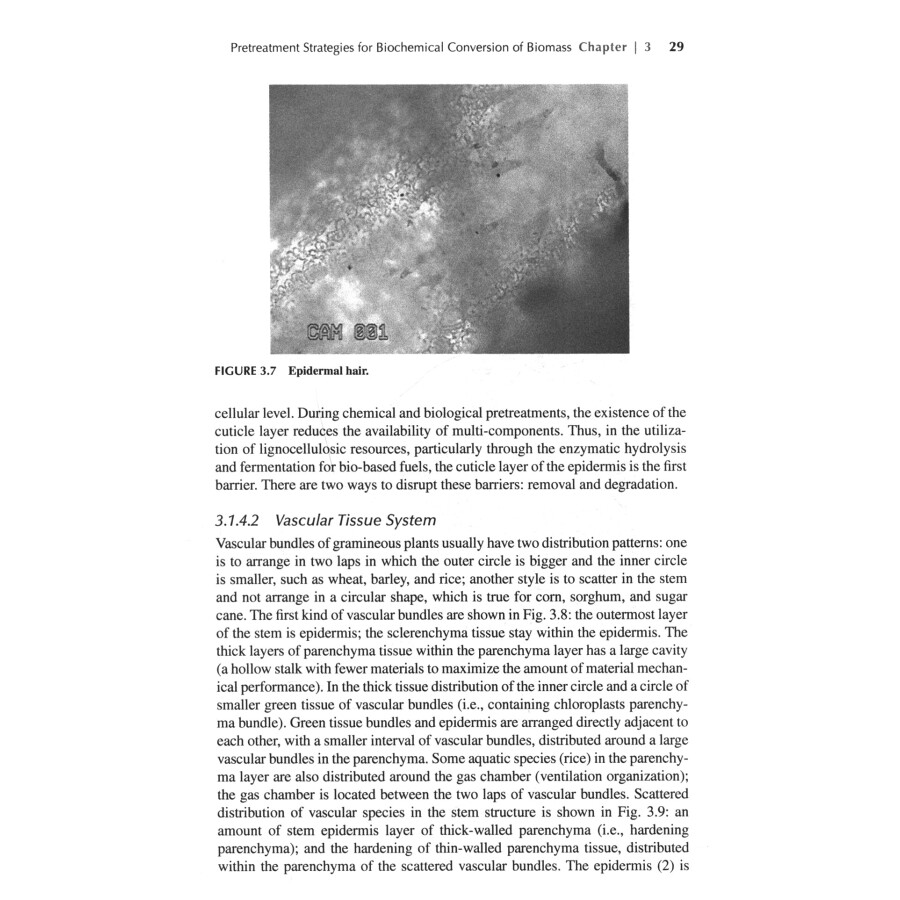 Sample pages of Technologies for Biochemical Conversion of Biomass (ISBN:9787502474775)