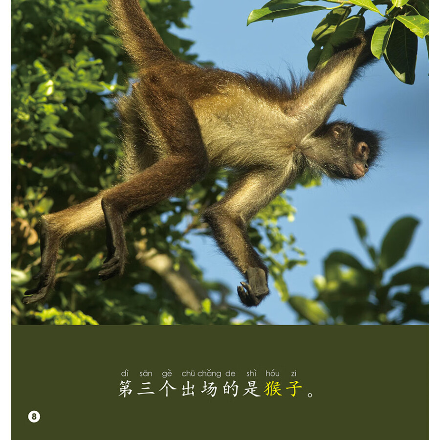 Sample pages of Rainbow Dragon Graded Chinese Reader: Level 3: Animals (5 books) (ISBN:9787521335217)