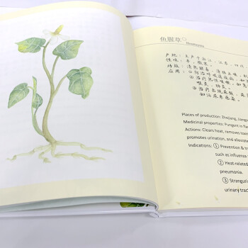 Sample pages of Special Course on Calligraphy Culture by Junior United Nations of Calligraphy (ISBN:9787576017267)