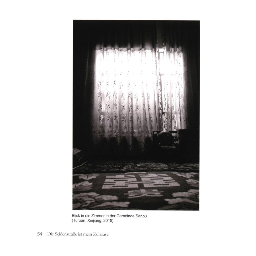 Sample pages of Die seidenstraße ist mein Zuhause (ISBN:9787119107394)