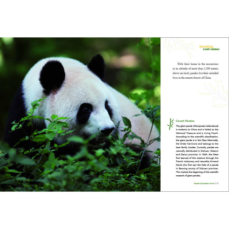 Sample pages of Unveiling Giant Pandas (ISBN:9787508548067)