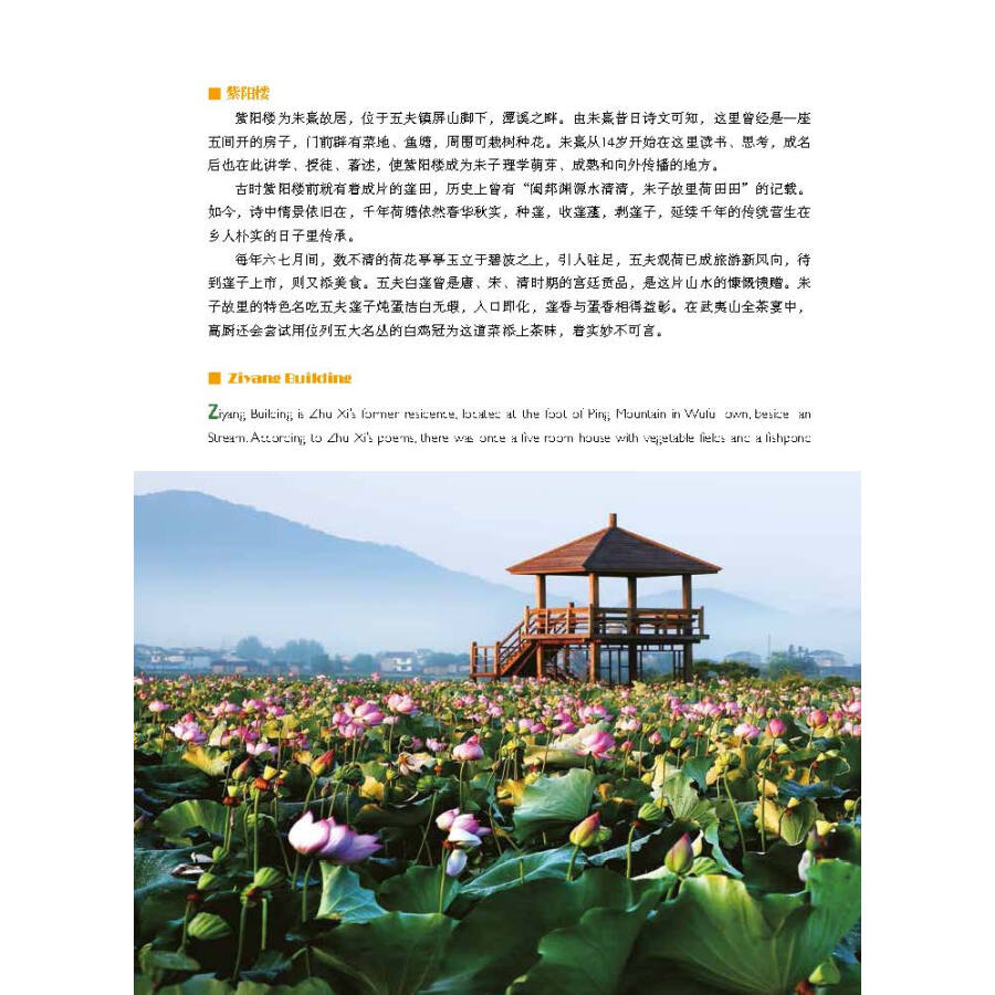 Sample pages of World Heritage Sites in Fujian: Mount Wuyi (ISBN:9787211083145)