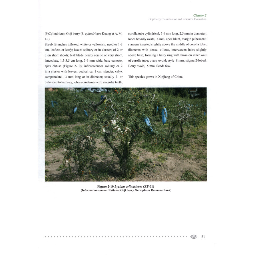 Sample pages of Wolfberry (ISBN:9787552562972)