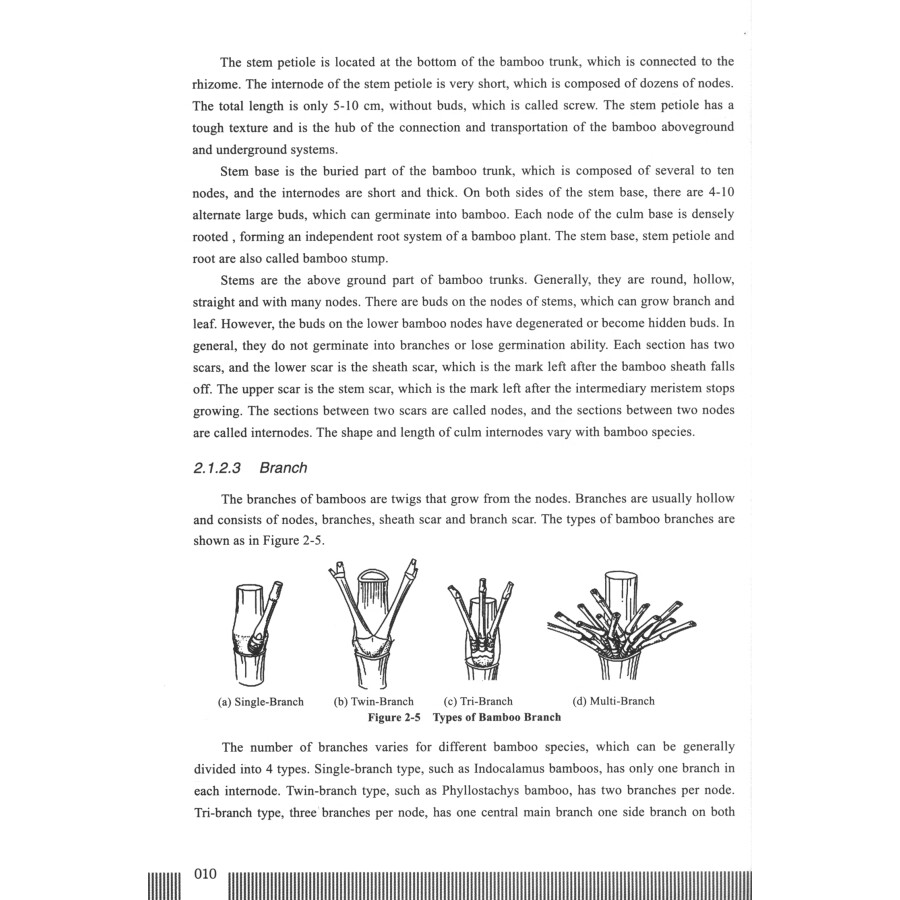 Sample pages of Manufacture Technology of Bamboo Pulp and Paper (ISBN:9787564398149)