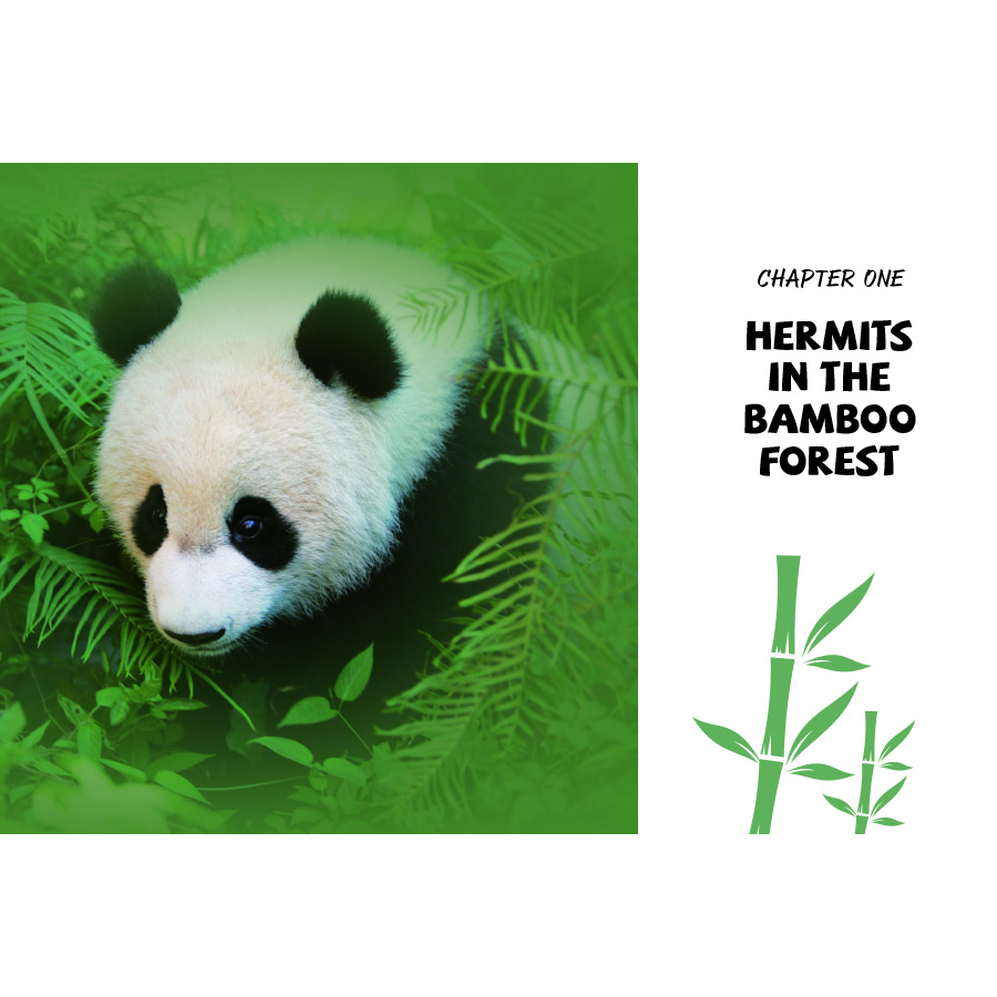 Sample pages of Unveiling Giant Pandas (ISBN:9787508548067)