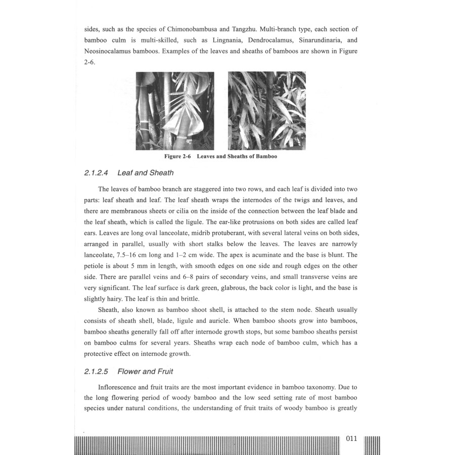 Sample pages of Manufacture Technology of Bamboo Pulp and Paper (ISBN:9787564398149)