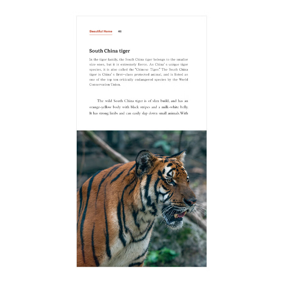 Sample pages of China on the Map: Beautiful Home (ISBN:9787508545790)