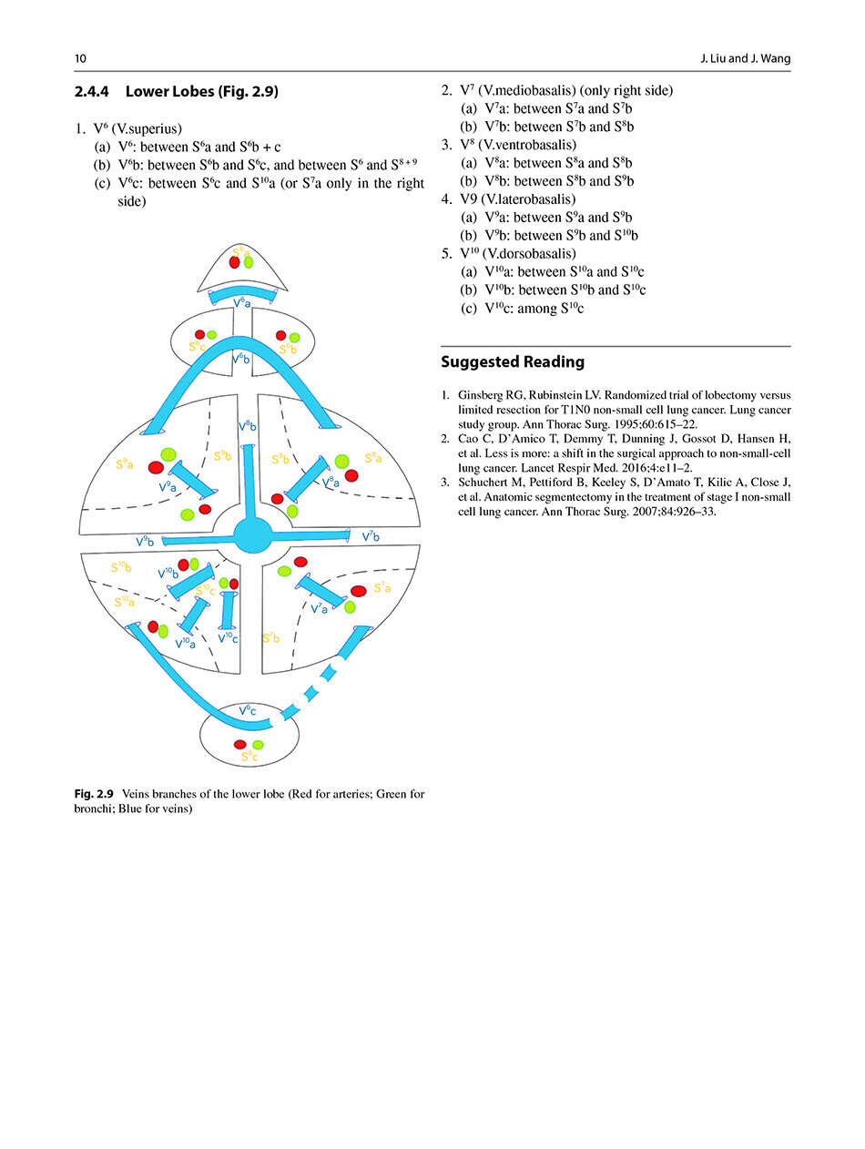 Sample pages of Segmentectomy for Early-Stage Lung Cancer 3D Navigation (ISBN:9787523508152)