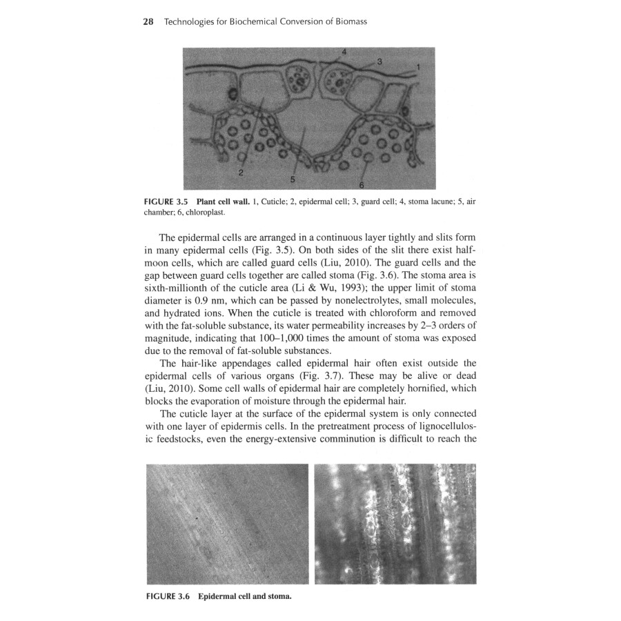 Sample pages of Technologies for Biochemical Conversion of Biomass (ISBN:9787502474775)