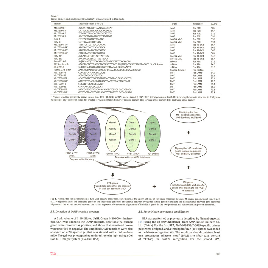 Sample pages of Engineering Tenth Anniversary Paper Highlights Vol 3 (ISBN:9787040643336)