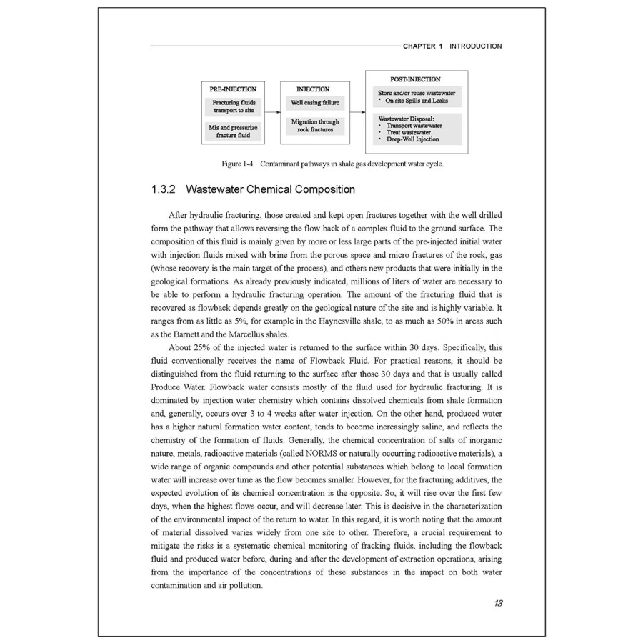 Sample pages of Dynamic Simulation of the Substance Migration Behavior in Flowback Fluid from Low-permeability Formation (ISBN:9787122439222)