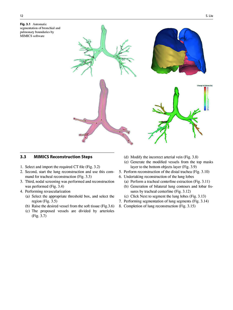 Sample pages of Segmentectomy for Early-Stage Lung Cancer 3D Navigation (ISBN:9787523508152)