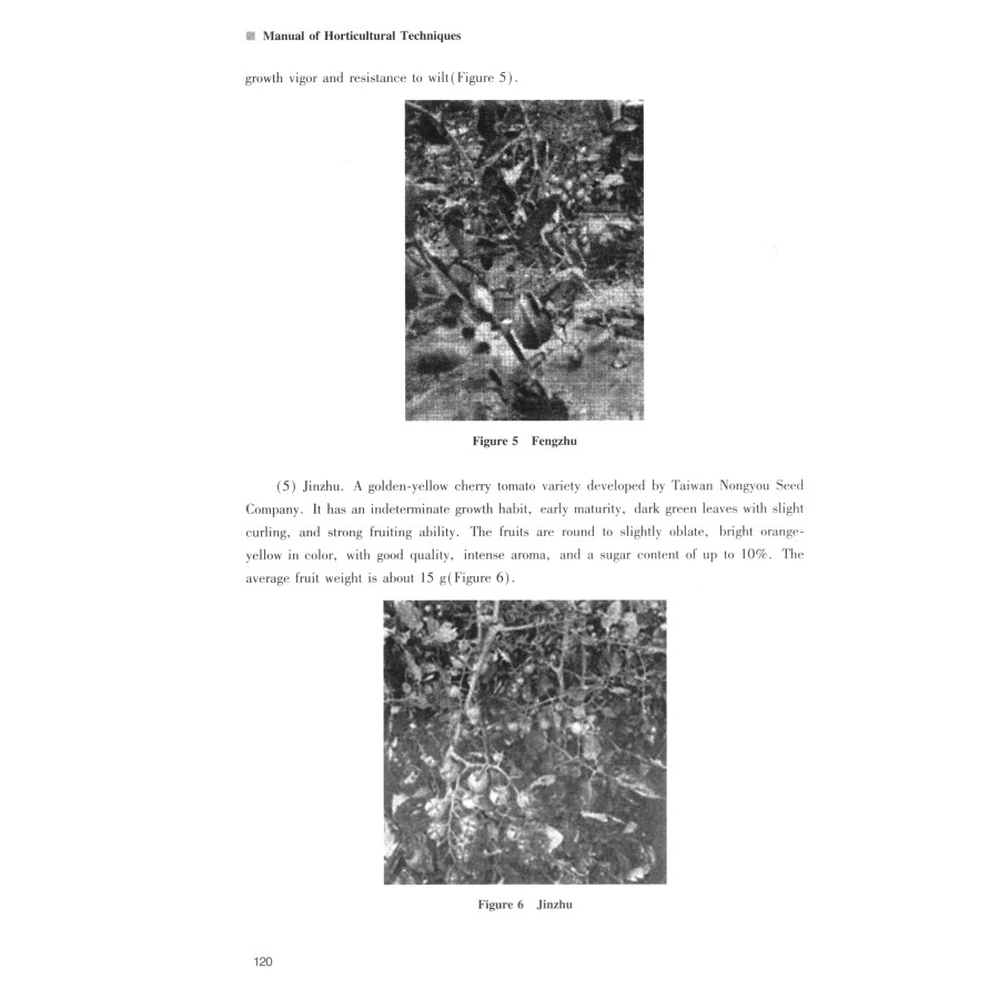 Sample pages of Manual of Horticultural Techniques (ISBN:9787576714494)