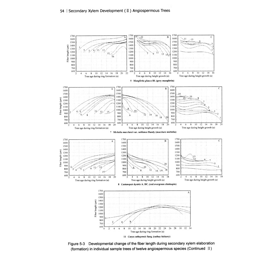 Sample pages of An Important Part of Wood Formation Mechanism Secondary Xylem Development（2）Angiospermous Trees（Original Research） (ISBN:9787030571519)