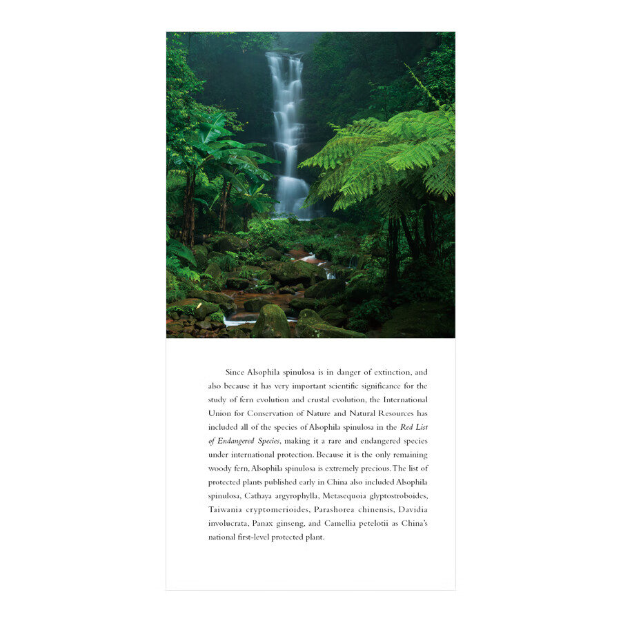 Sample pages of China on the Map: Beautiful Home (ISBN:9787508545790)
