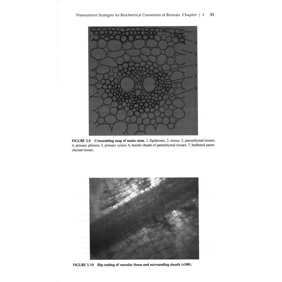 Sample pages of Technologies for Biochemical Conversion of Biomass (ISBN:9787502474775)