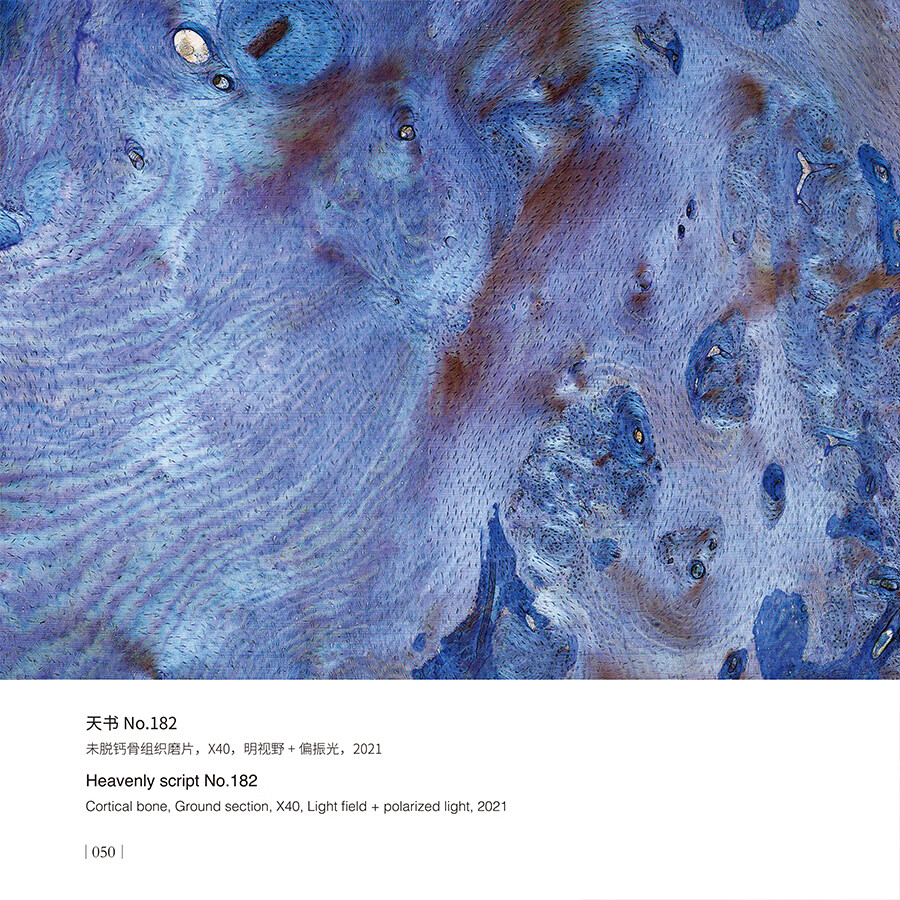Sample pages of Backbone (ISBN:9787508551210)