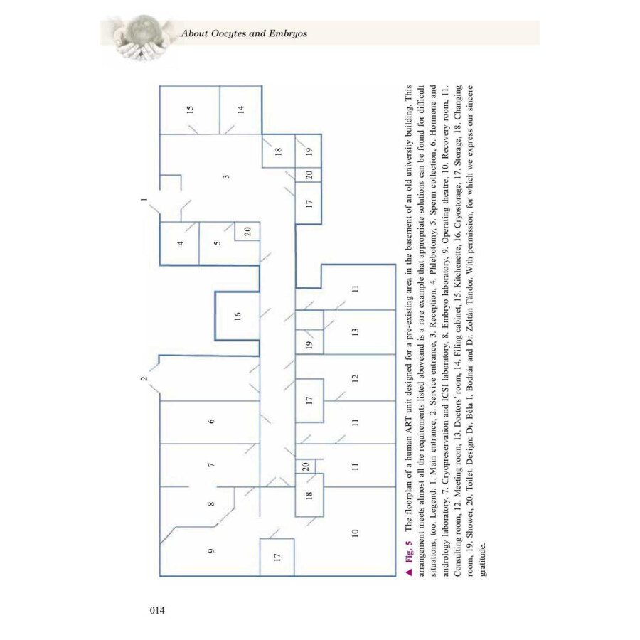 Sample pages of About Oocytes and Embryos (ISBN:9787504691583)