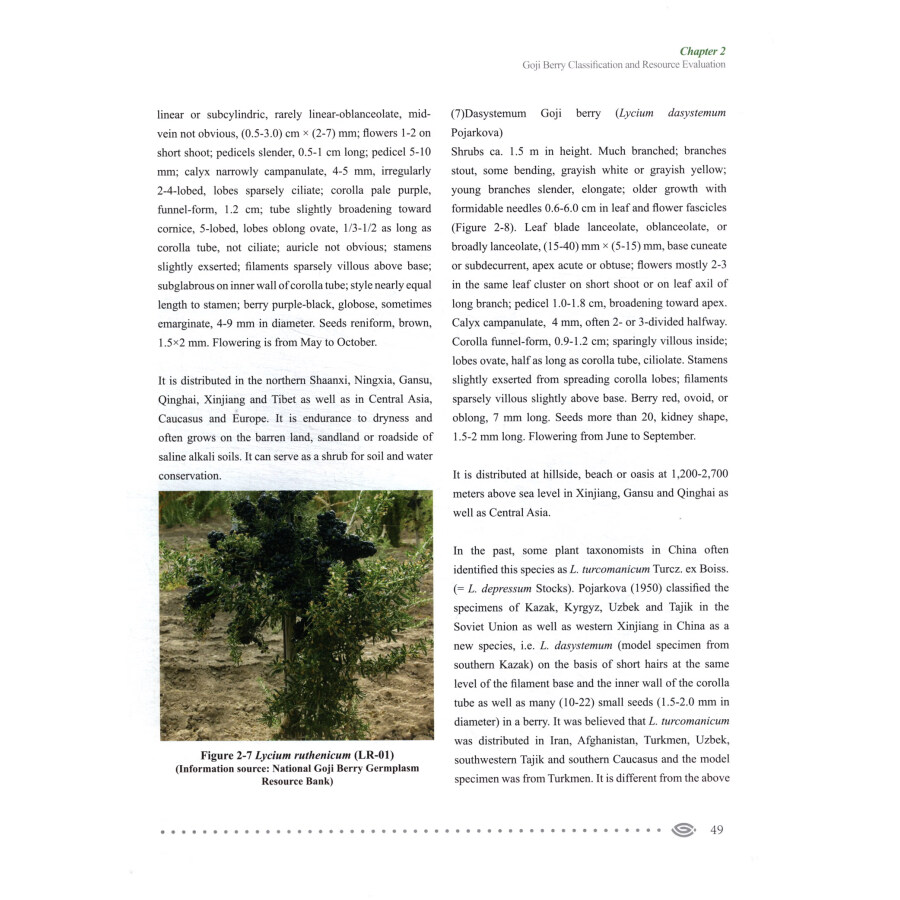 Sample pages of Wolfberry (ISBN:9787552562972)