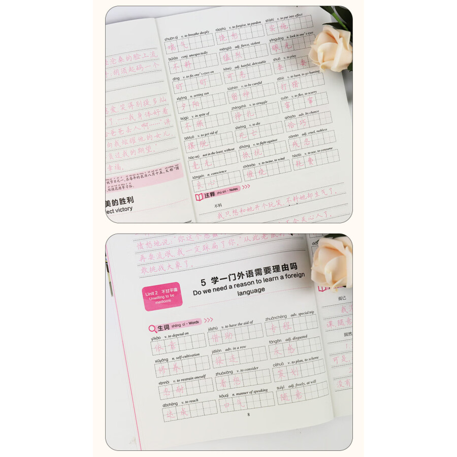 Sample pages of HSK Handwriting Workbook Level 6 (ISBN:9787540146542)