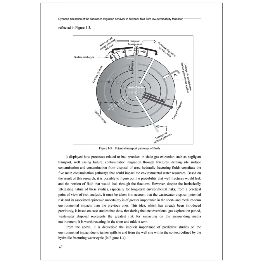 Sample pages of Dynamic Simulation of the Substance Migration Behavior in Flowback Fluid from Low-permeability Formation (ISBN:9787122439222)
