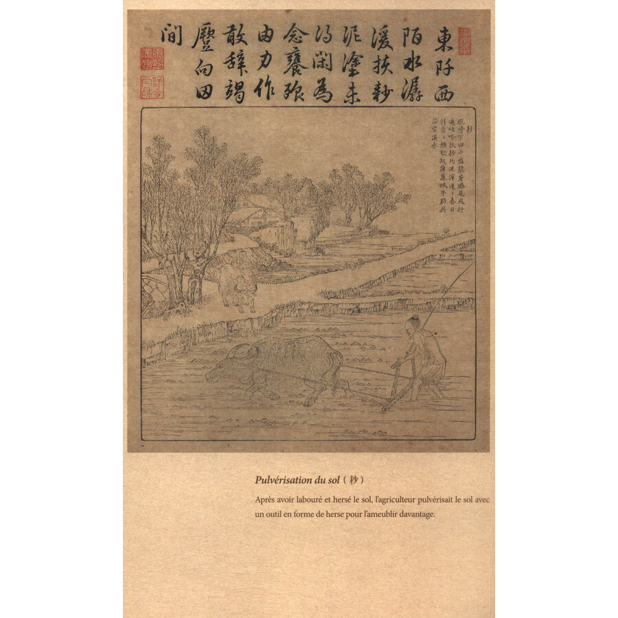 Sample pages of ILLUSTRATIONS SUR L'AGRICULTURE ET LA SÉRICICULTURE (ISBN:9787119141220)