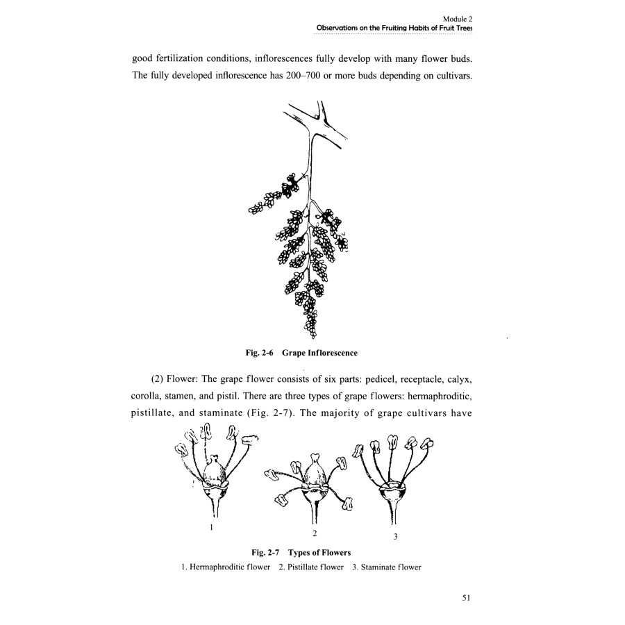 Sample pages of Fruit Tree Production Technology (ISBN:9787504780393)