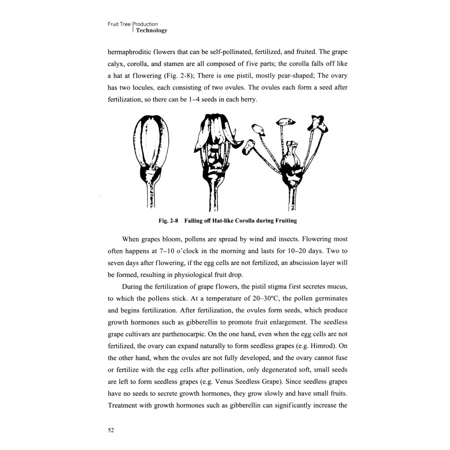 Sample pages of Fruit Tree Production Technology (ISBN:9787504780393)
