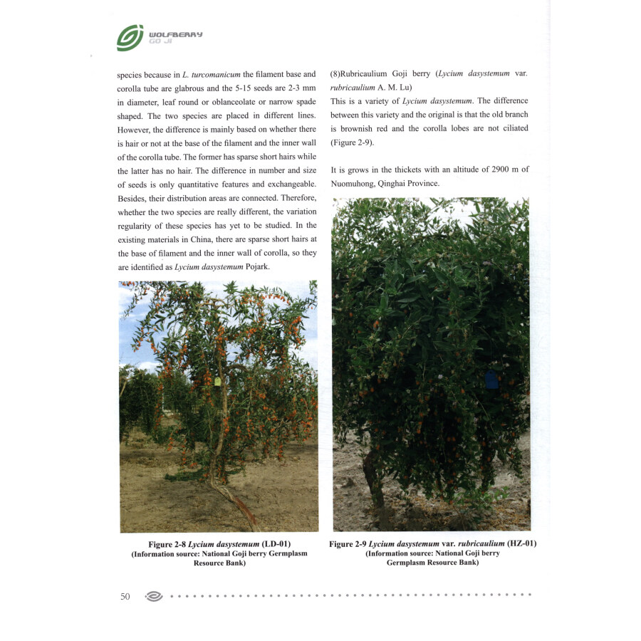 Sample pages of Wolfberry (ISBN:9787552562972)