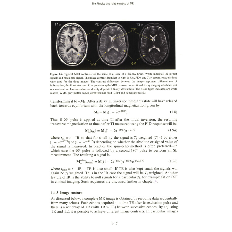 Sample pages of The Physics and Mathematics of MRI (ISBN:9787560395197)