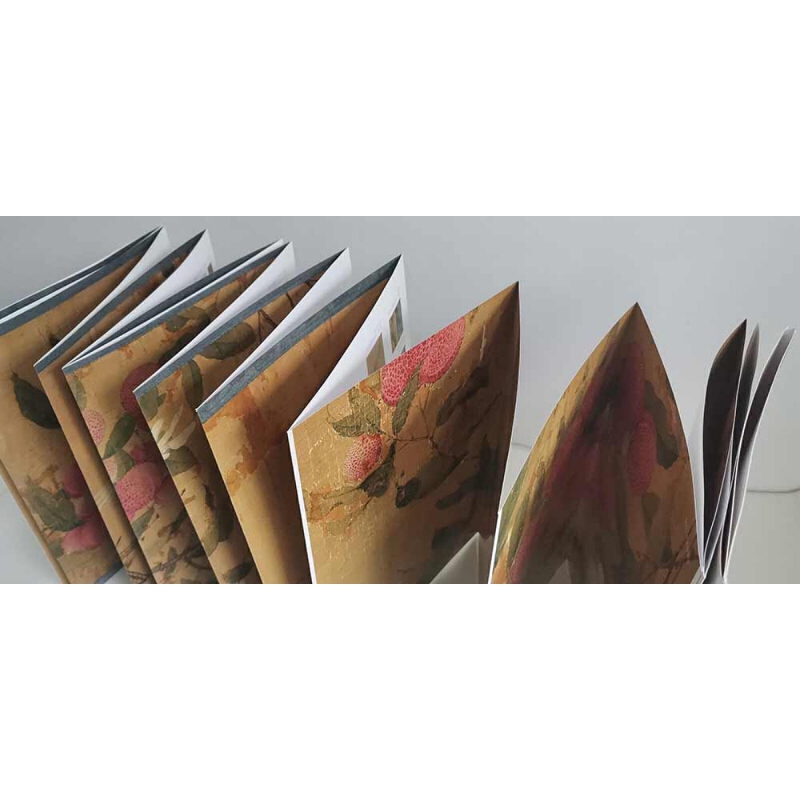 Sample pages of A Collection of Chinese Famous Paintings: Song Huizong's Sketches of Plumes (ISBN:9787534083846)