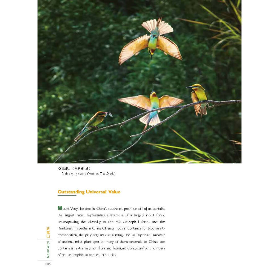 Sample pages of World Heritage Sites in Fujian: Mount Wuyi (ISBN:9787211083145)