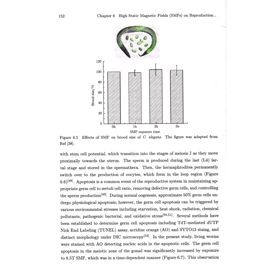 Sample pages of Interdisciplinary Research of Magnetic Fields and Life Sciences (ISBN:9787030599100)
