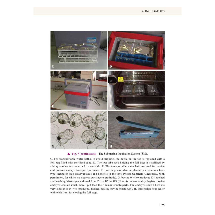 Sample pages of About Oocytes and Embryos (ISBN:9787504691583)