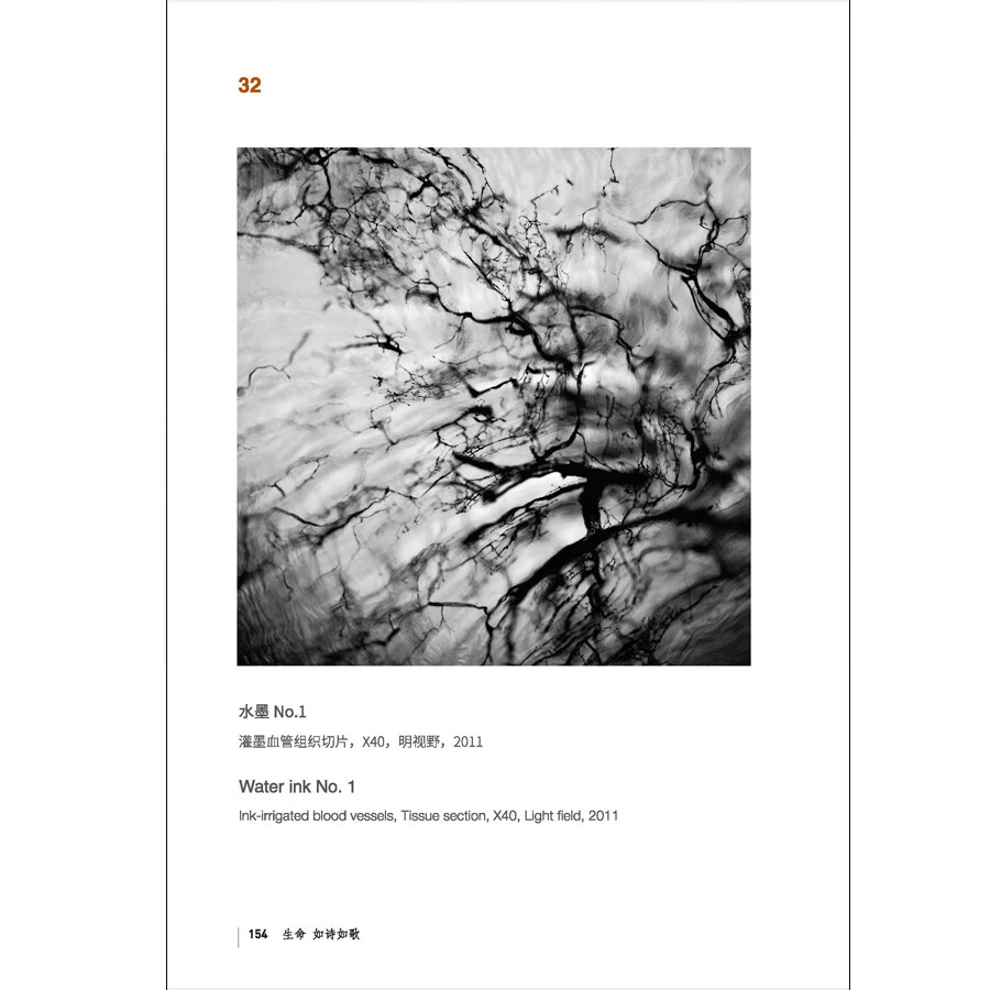 Sample pages of Life: A Poem of Song: Four Seasons of Life Under the Microscope (ISBN:9787508548494)