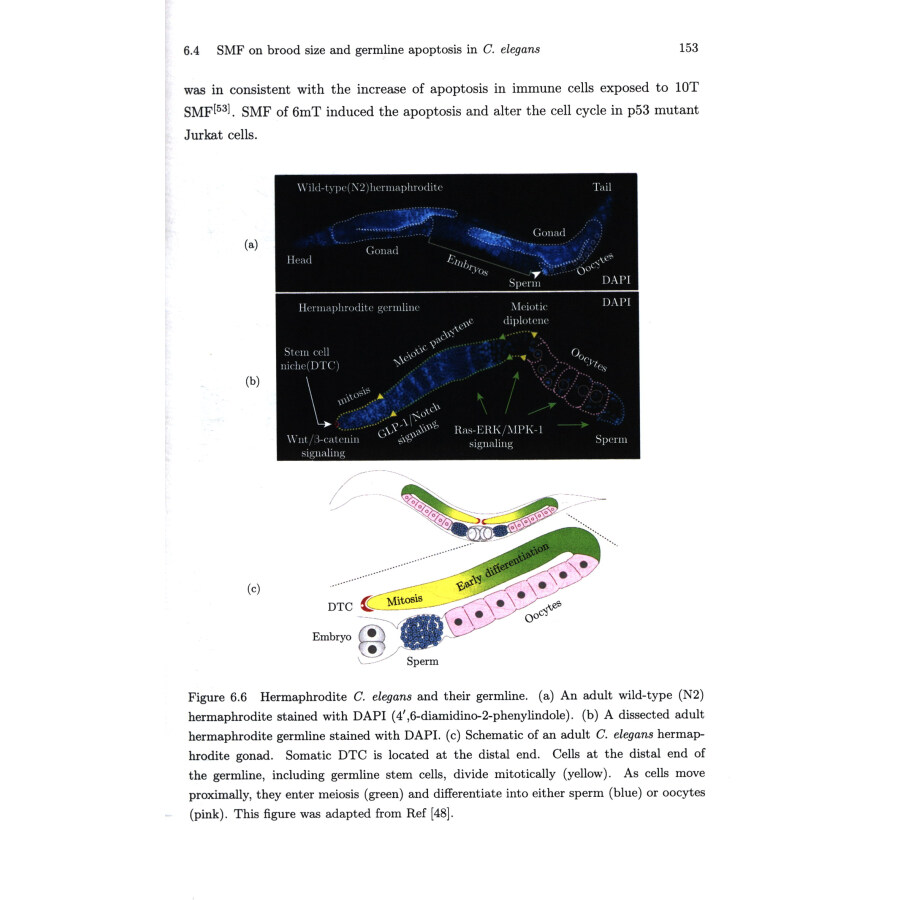 Sample pages of Interdisciplinary Research of Magnetic Fields and Life Sciences (ISBN:9787030599100)