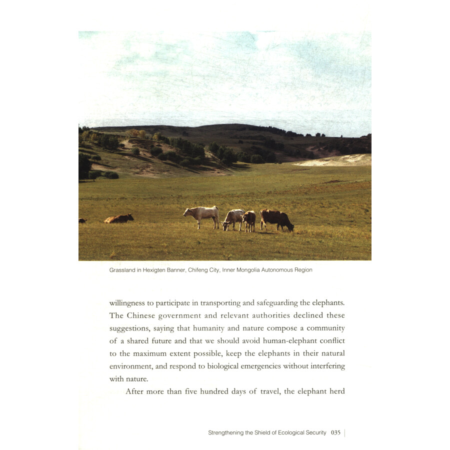 Sample pages of Modern China's Ingenuity: China's Green Development (ISBN:9787119133058)